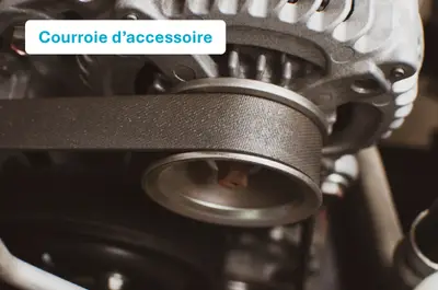 courroie d'accessoire